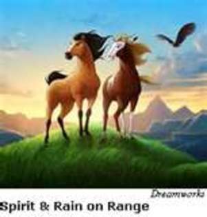 spirit si rain