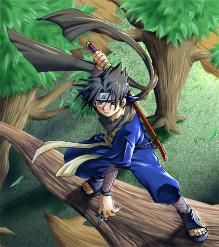 sasuke - concursul 1