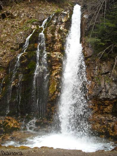 cascada urlatoarea12