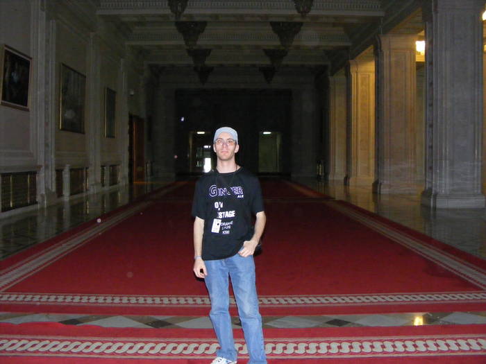 Palatul Parlamentului 043