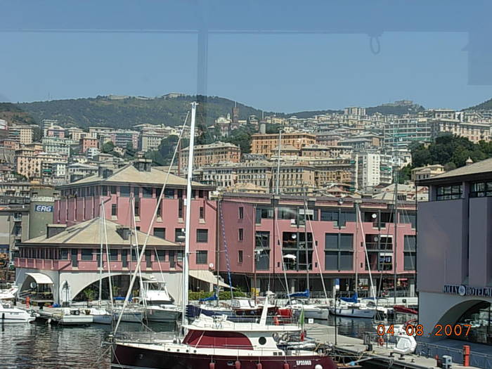 Aquario di Genova 248