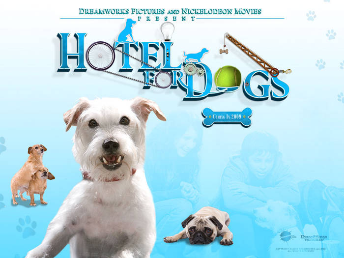 hotel-for-dogs-2-1024