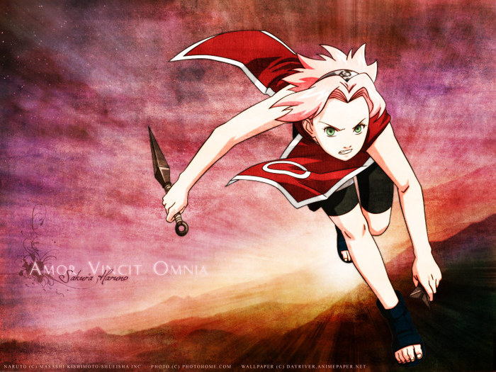 sakura 19 - sakura haruno