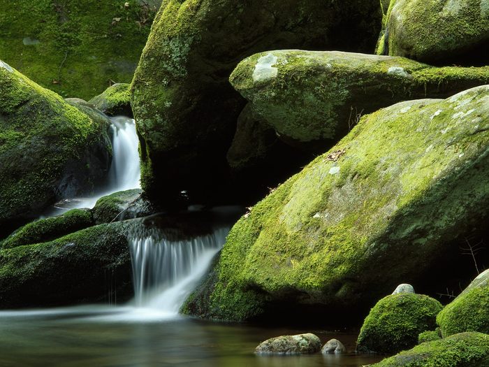 Roaring Fork, Great Smoky Mountains National Park, Tennessee - Wallpapers Premium