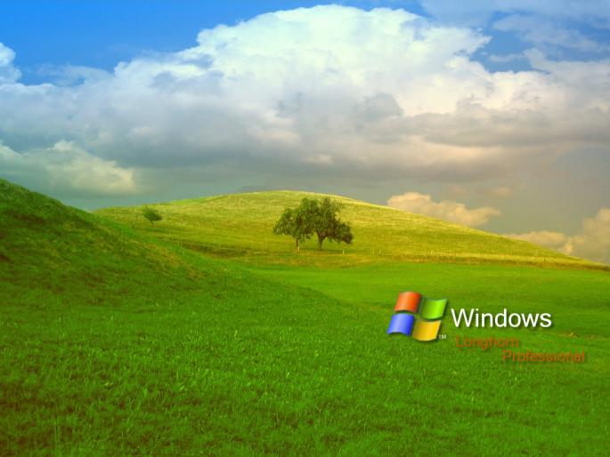 Longhorn Windows - POZE DESKTOP