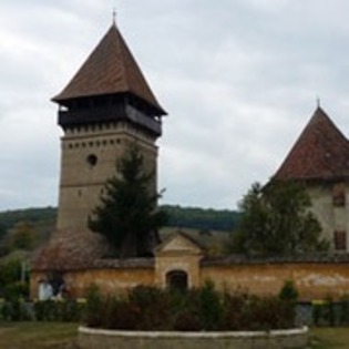 seleus langa danes sighisoara