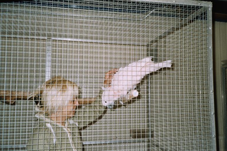 Centrul papagali apr 2004 (9)
