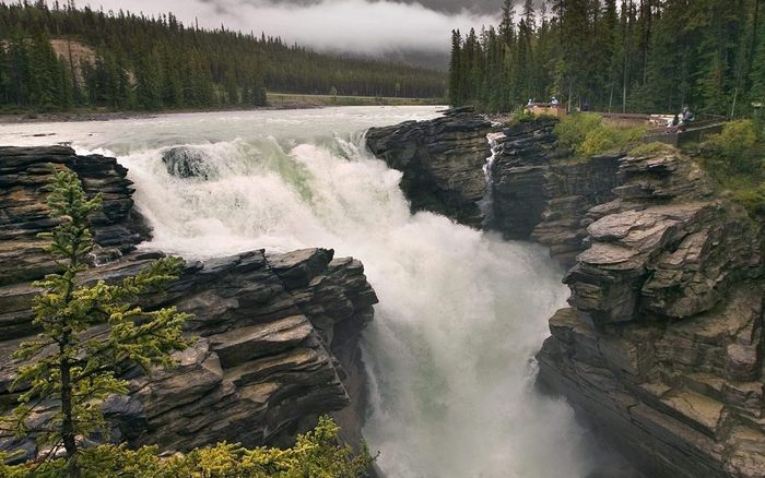 Athabasca_Falls_Jasper_National_Park_Alberta_Canada - 171 - Nature Wallpapers