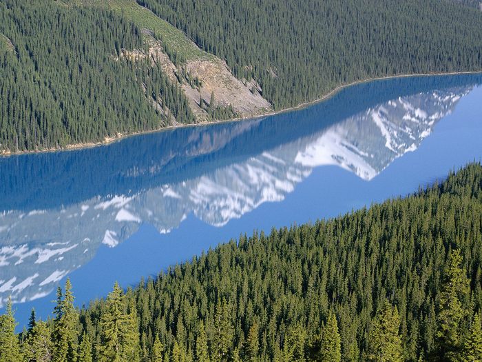 Peyto Lake, Mistaya Valley, Banff National Park, Alberta, Canada