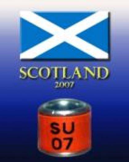 2SCOTLAND 007 - c INELE DIN TOATE TARILE