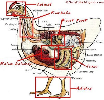 chicken parts