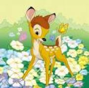 bambi, fiori & farfalle