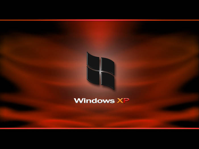 windows xp; windows xp
