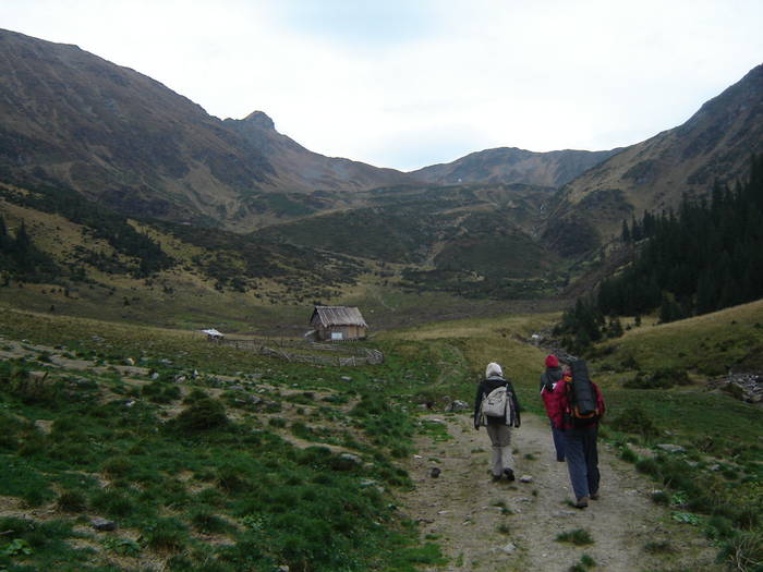 28.03 .2009 004; valea bila in fata
