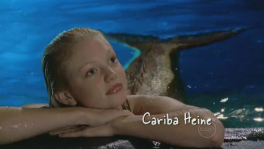 Cariba heine pe insula macco - H2O