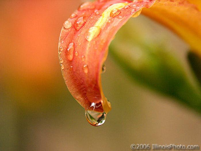 7884-water-droplet