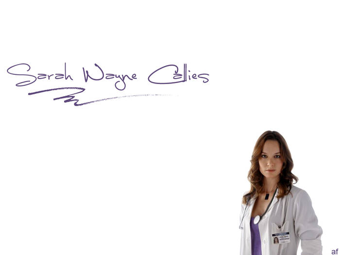 SHW1 - Sarah-WAYNE-Callies