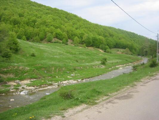 IMG_3882; Maramures - meleagurile natale
