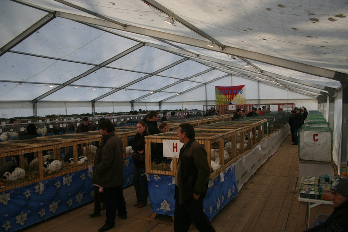 EXPO-PAS Suceava 2009