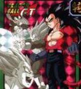 dragonball (11)