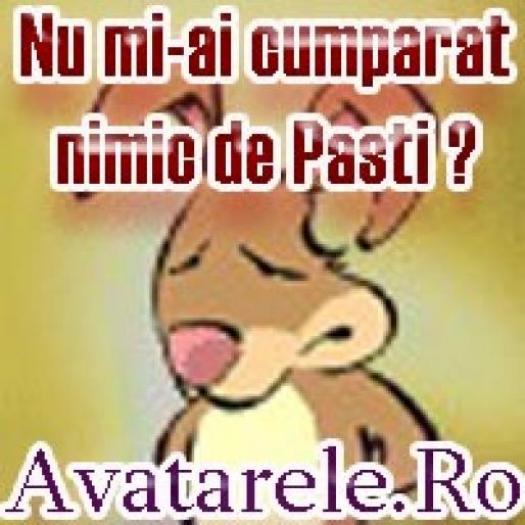 CHALOCCDRVOKHMVGTFG[1] - poze avatare animalae