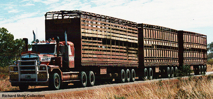 cattle_road_train