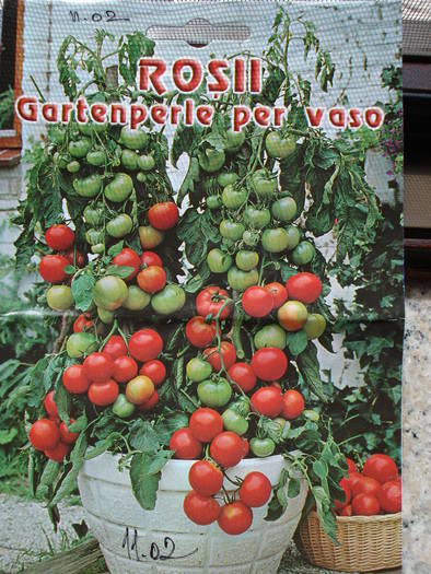 Tomato Gartenperle - Tomato Gartenperle