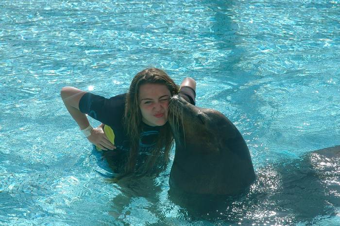 miley-cyrus-with-sea-animals-2 - miley