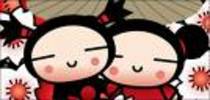 pucca (4)
