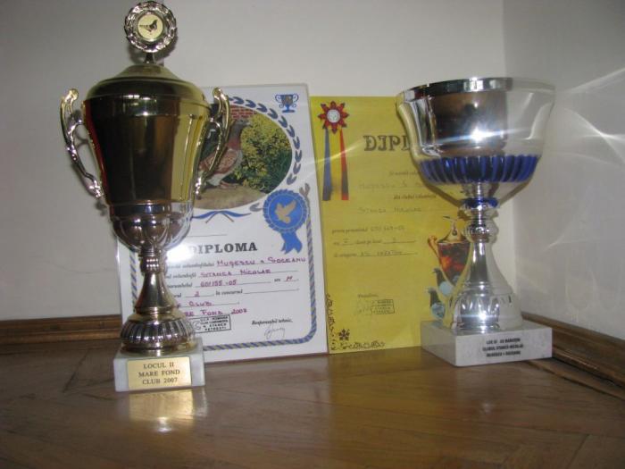 Tandemul; Trofee,M. Fond 2007,Maraton 2008
