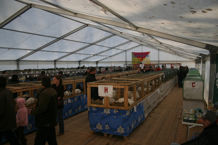 EXPO-PAS Suceava 2009