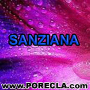 678-SANZIANA%20ingineru