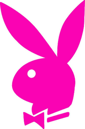 Pink Glitter Playboy Bunny Graphics; Pink Glitter Playboy Bunny Graphics
