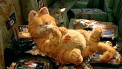 garfield