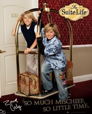 lgmp1093 so-much-mischief-the-suite-life-of-zac-and-cody-mini-poster