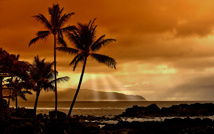 1801_sunsetinthetropics_1440x900 - Wallpaper Amestecate