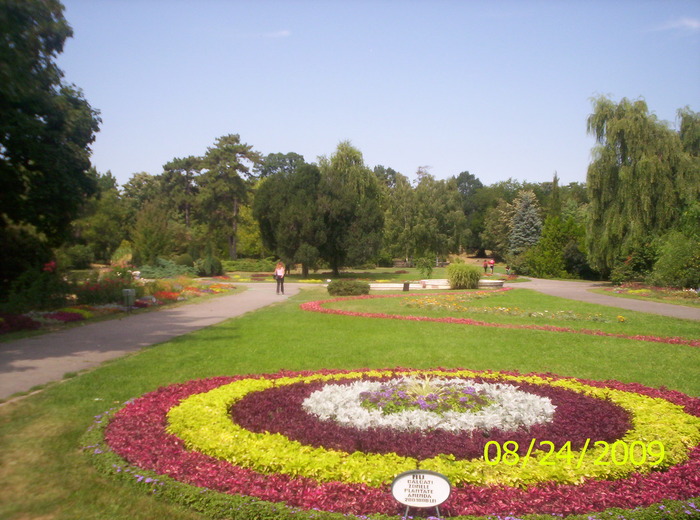 Parcul Botanic; invitatie in parcul botanic TM
