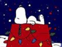 snoopy (50)