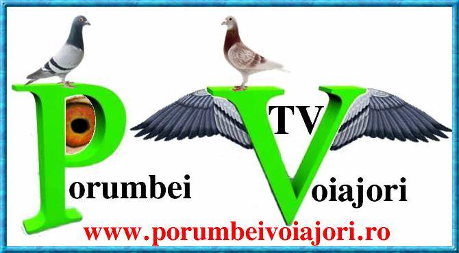 ZAKLMOWQBZSFCVZREDG - 9 PORUMBEI VOIAJORI TV