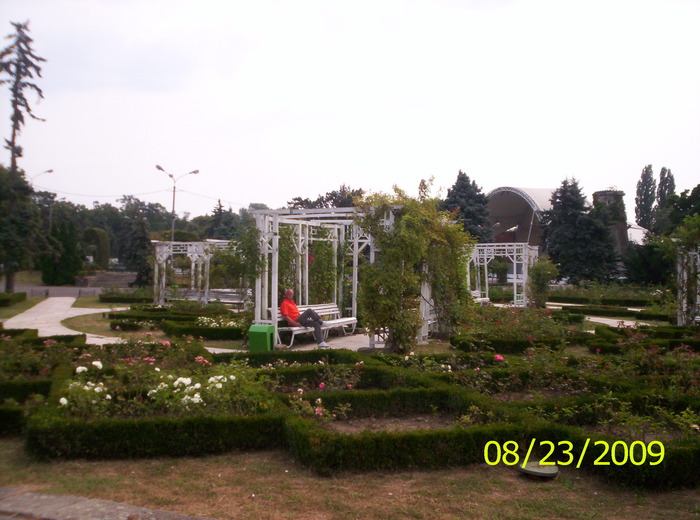 Parcul Rozelor; un popas binevenit pe o banca intre trandafiri
