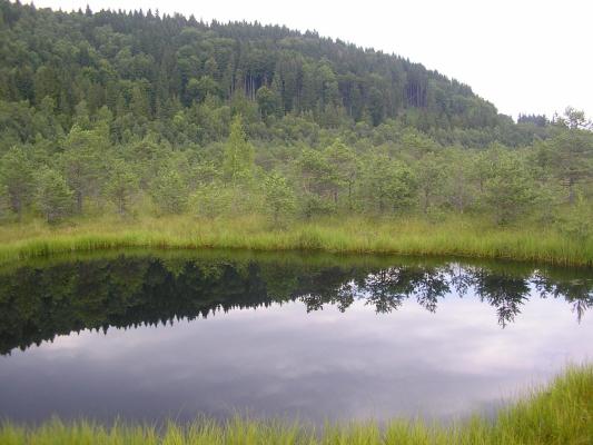 Tinovul Mohos - Lacul Sf_Ana