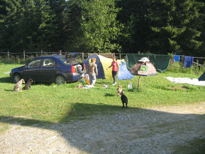 Lacul Vidra; Campare la Lacul Vidra
