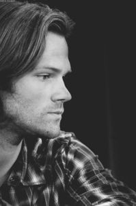 jared (1)