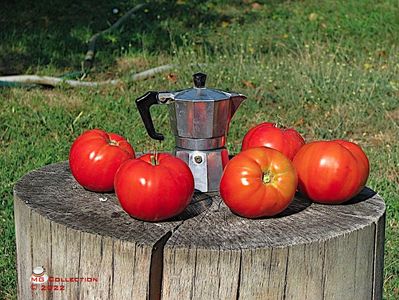 Decor legume-Tomatoes