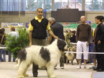 DSCF3766