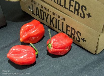 Hot habaneros peppers