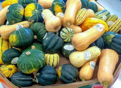 Dovleac - Courge - Squash