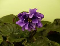 P1220943