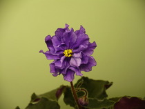 P1220831