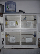 P1000817